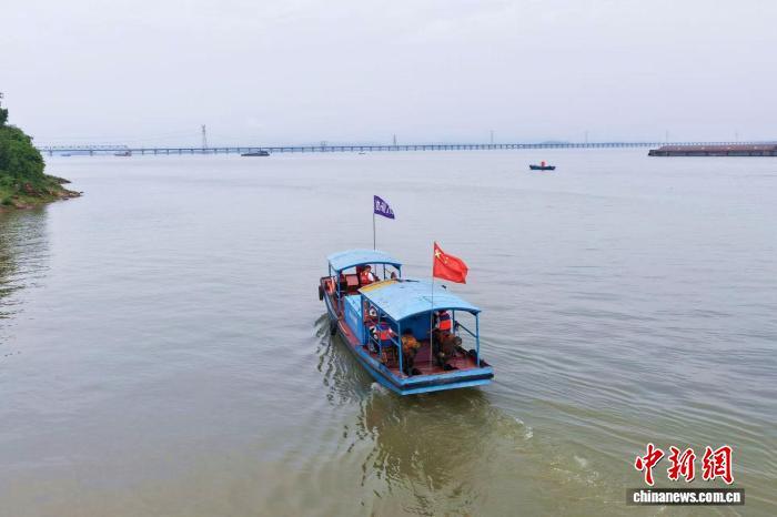 图为在江西省九江市湖口县，江豚协助巡护队开展日常巡护工作。王林华 摄