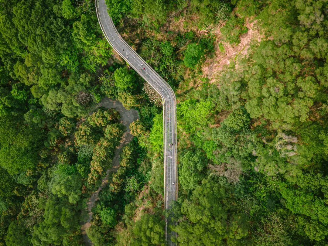 摄图网_507737350_夏季重庆巫山森林盘山公路（企业商用）.jpg