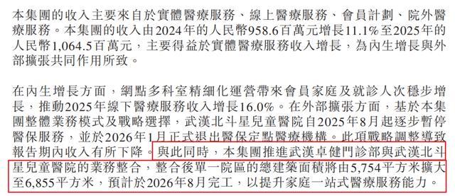 业务整合进展 摘自年度报告
