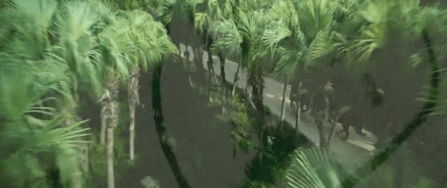 视频丨五一假期，跟着电影打卡粤港澳，太好拍了！