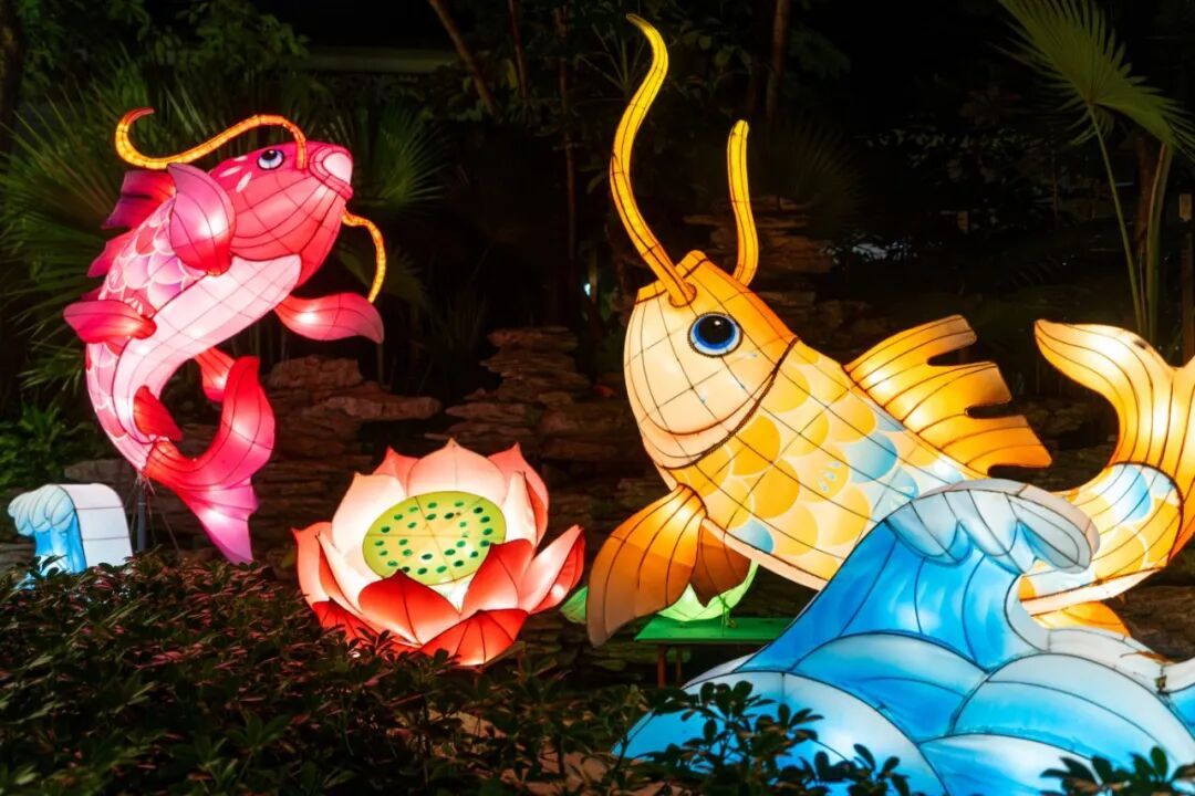 摄图网_701151217_中秋节广州文化公园中秋花_(企业商用).jpg