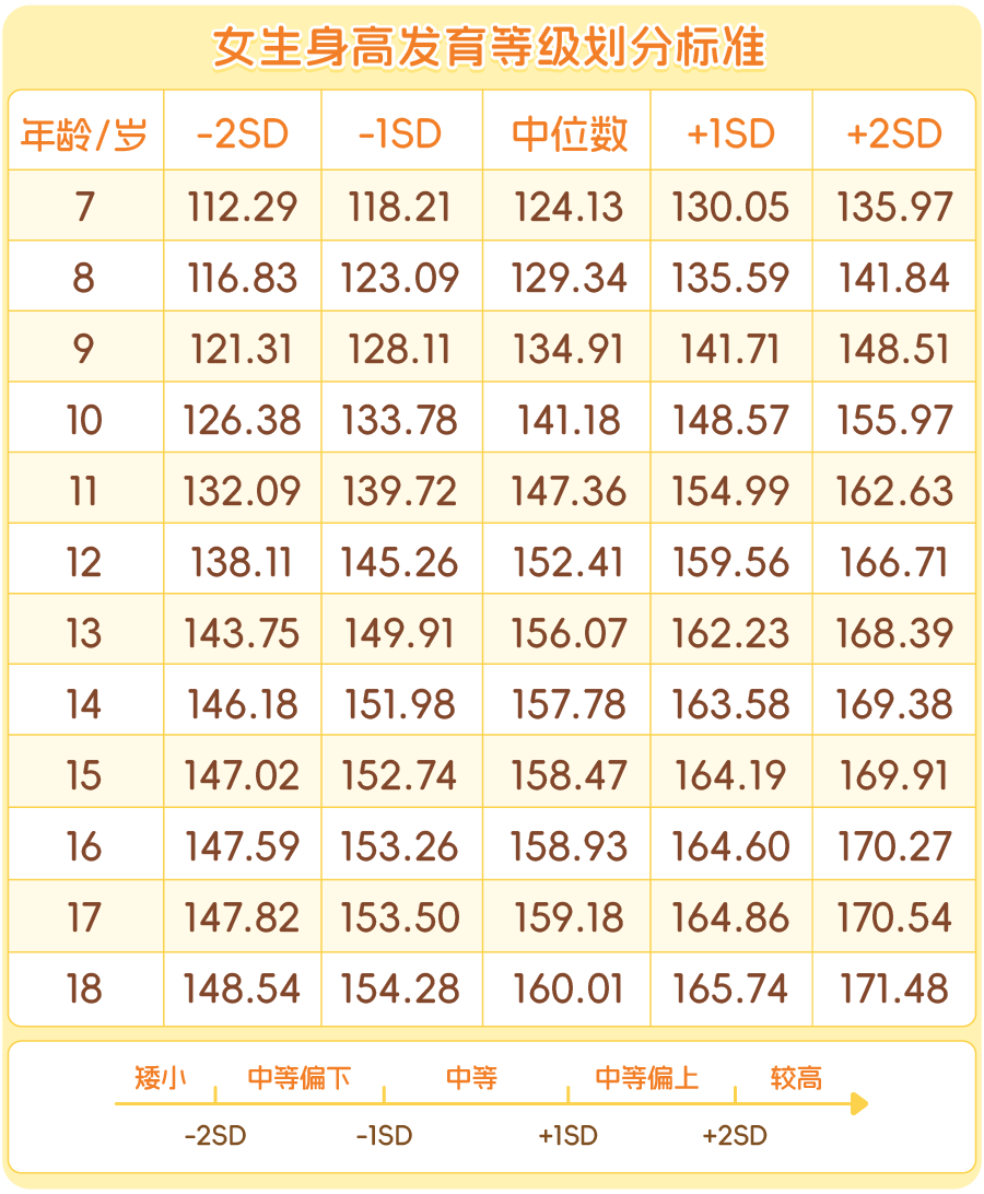 长高_画板 1 副本 5.png