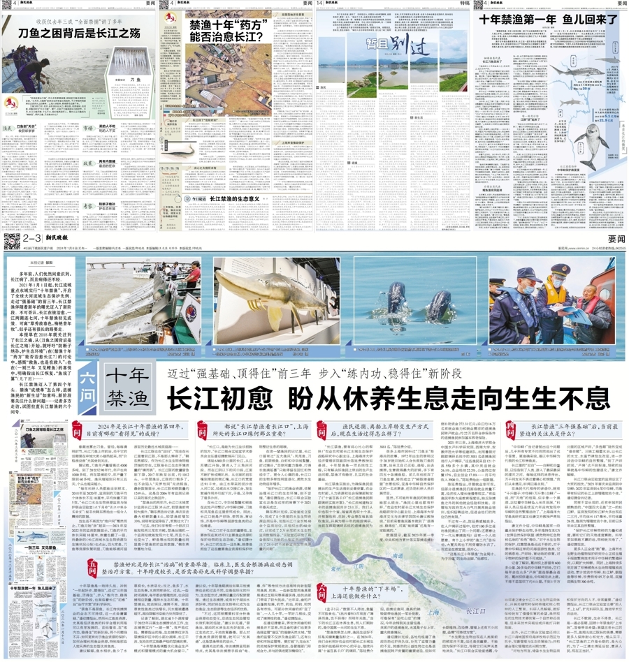 新民晚报关于“十年禁渔”的历年报道