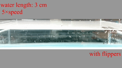 国防科大发布1.2克微型机器人:用折纸工艺打造 能跑能游还能钻弯道
