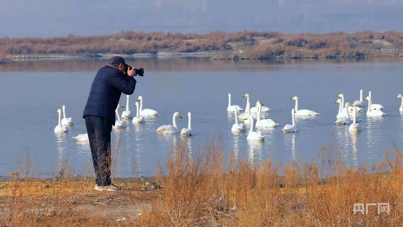美丽生态吸引越来越多游客到访(央广网记者 张晋鹏 摄）