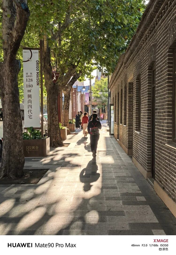 图源:不客观实验室