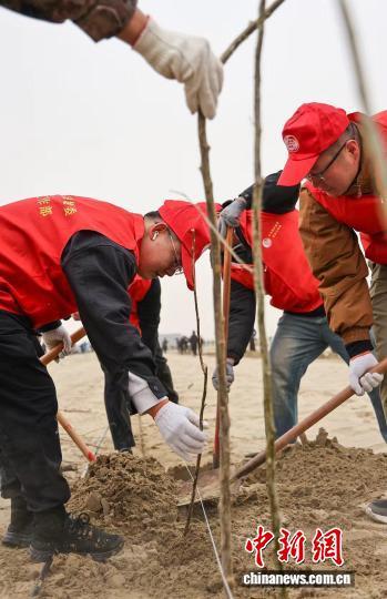 志愿者正在植树。许晓龙 摄