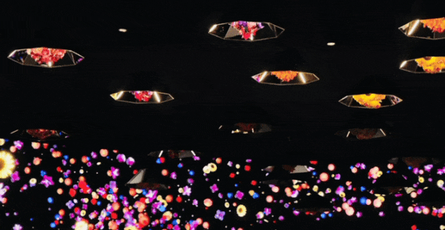 GIF_20261010140254336.gif