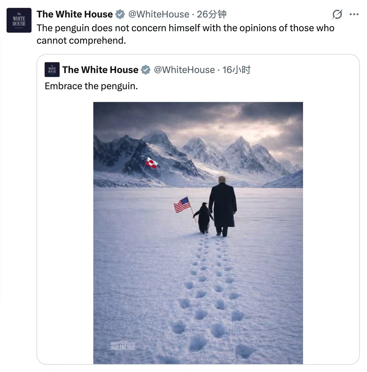 白宫24日在社交媒体平台X上发布一张人工智能合成图片,显示总统特朗普与一只举着美国国旗的企鹅在雪地上漫步。