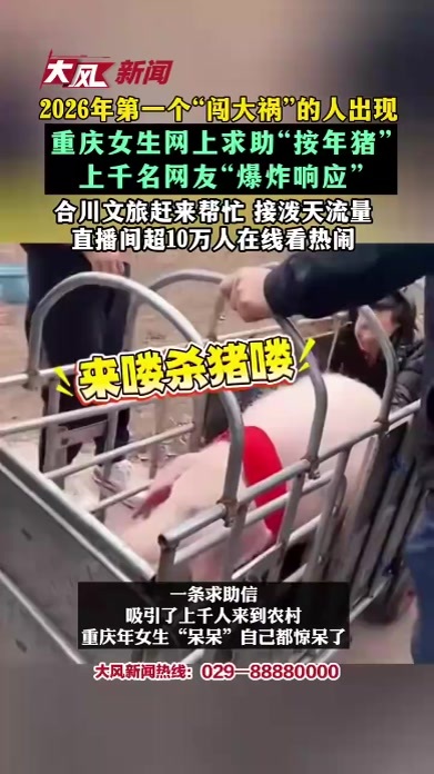 2026年第一个“闯大祸”的人出现重庆女生网上求助“按年猪” 上千网友“爆炸响应”直播间10万人在线看热闹合川文旅赶来帮忙 接泼天流量