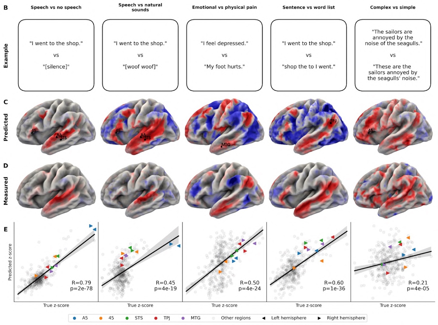 在语言实验中,TRIBE v2 复制了经典的神经语言学发现,如言语与沉默、情感与身体疼痛,或句子与词汇列表的区分。预测的激活模式与测量数据相符。| 图源:Meta