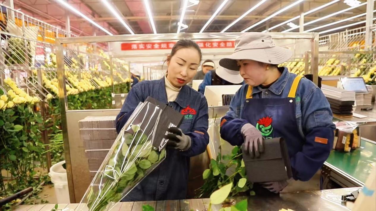 �����ú͹��ѽ����ּ���