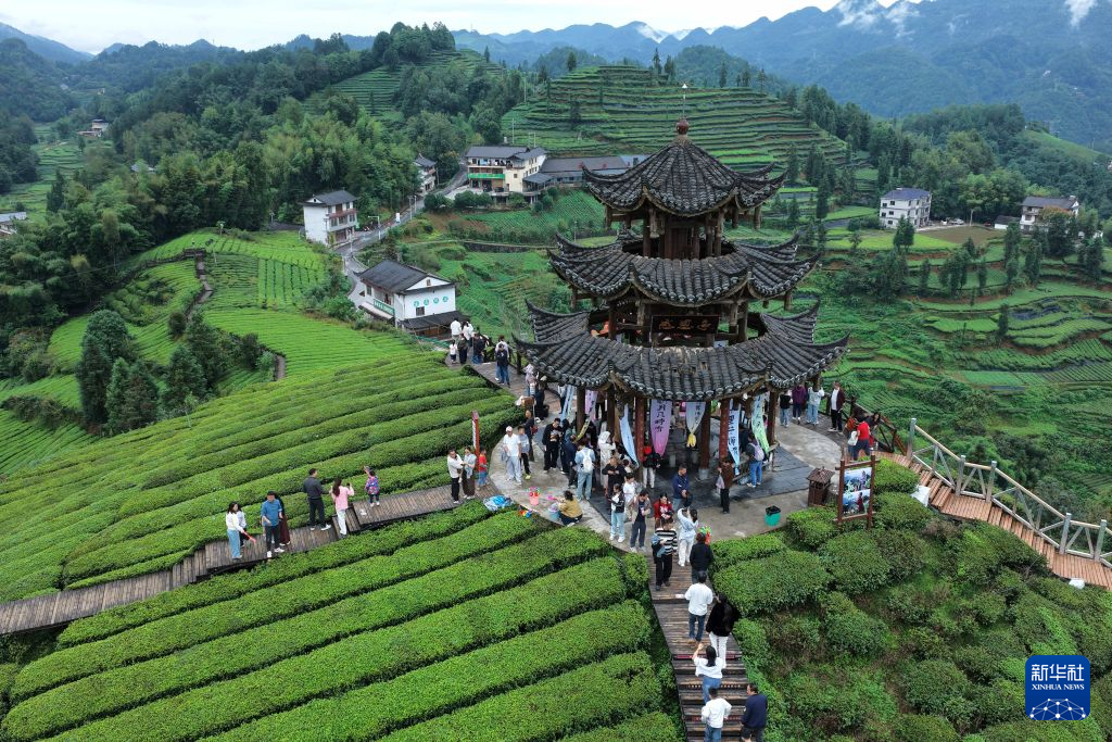 10月4日,游客在湖北省宣恩县伍家台贡茶文化旅游区的茶山上游玩(无人机照片)。新华社发(宋文摄)
