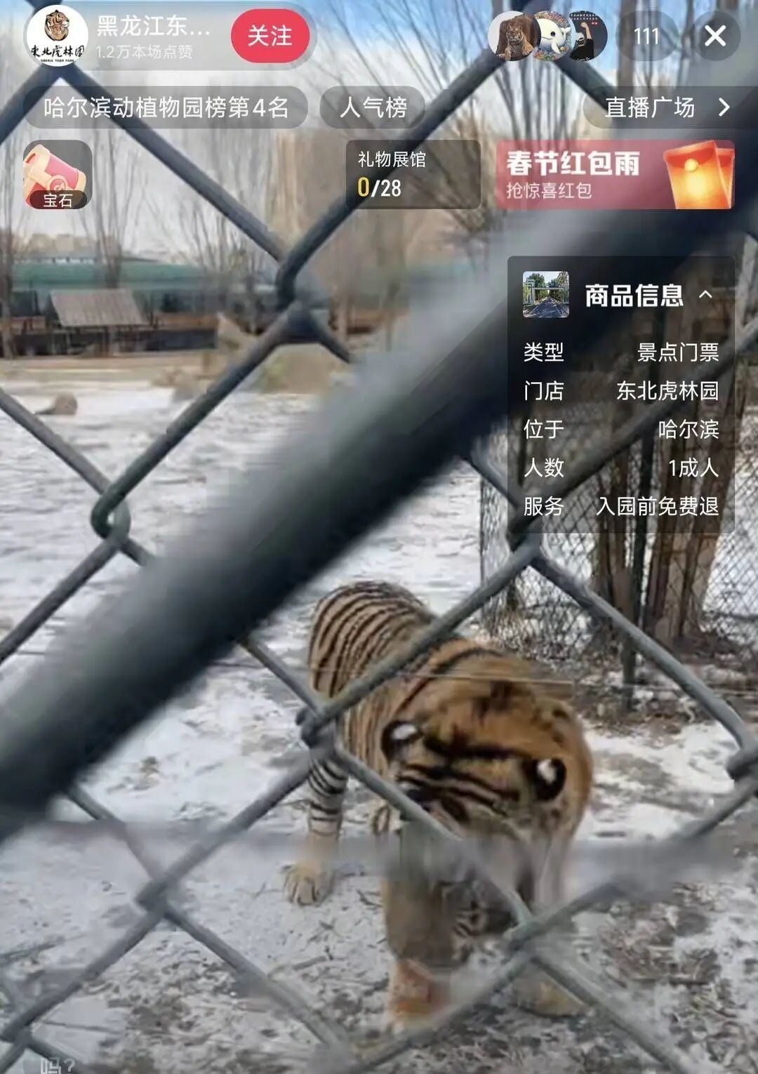 东北虎林园直播间截图。