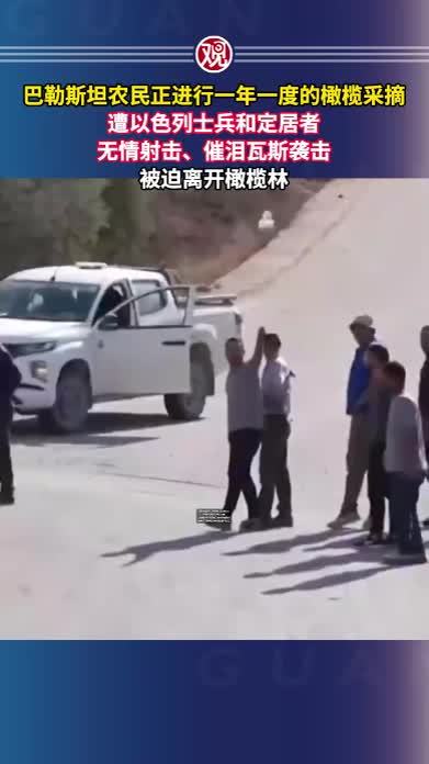 巴勒斯坦农民正进行一年一度的橄榄采摘，遭以色列士兵和定居者无情射击、催泪瓦斯袭击，被迫离开橄榄林