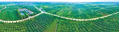 第五十七届全国药材药品交易会在江西樟树举行 “药都”找到发展新“药方”