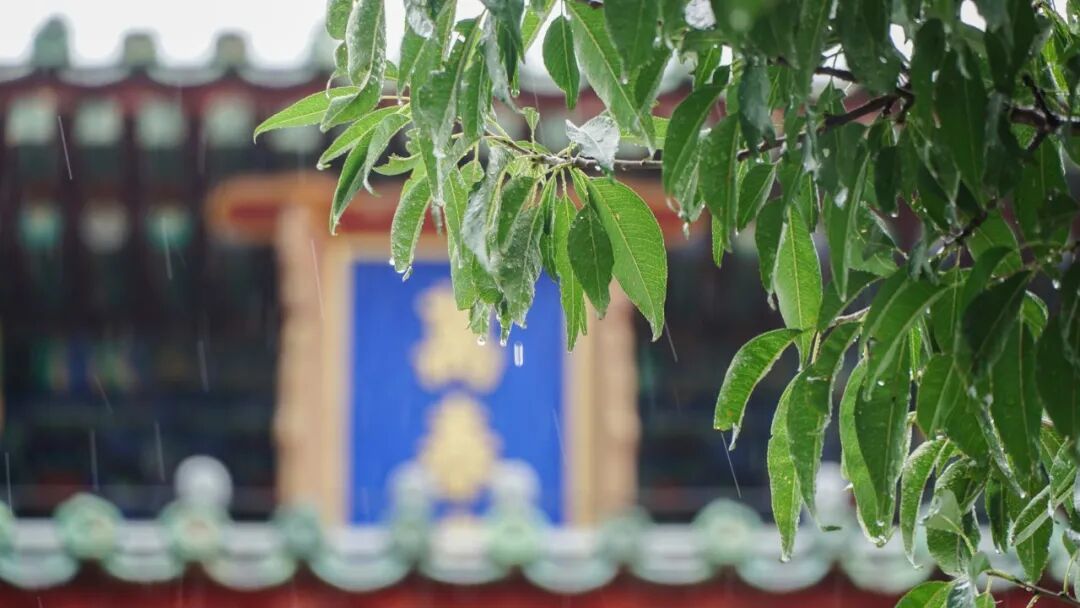 摄图网_507749543_立秋后的下雨天风景_(企业商用).jpg