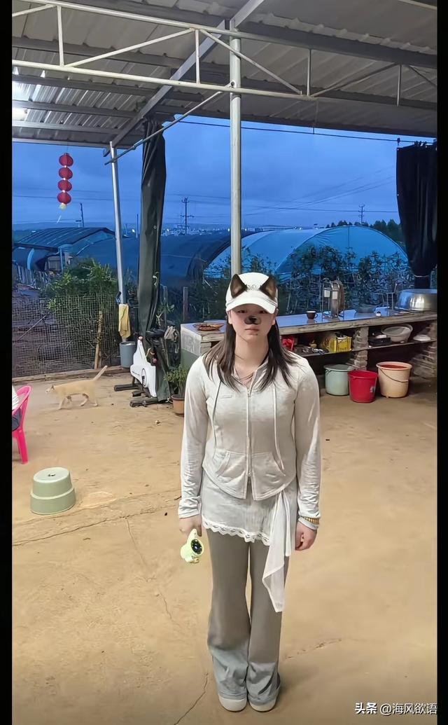 图片起原于网罗