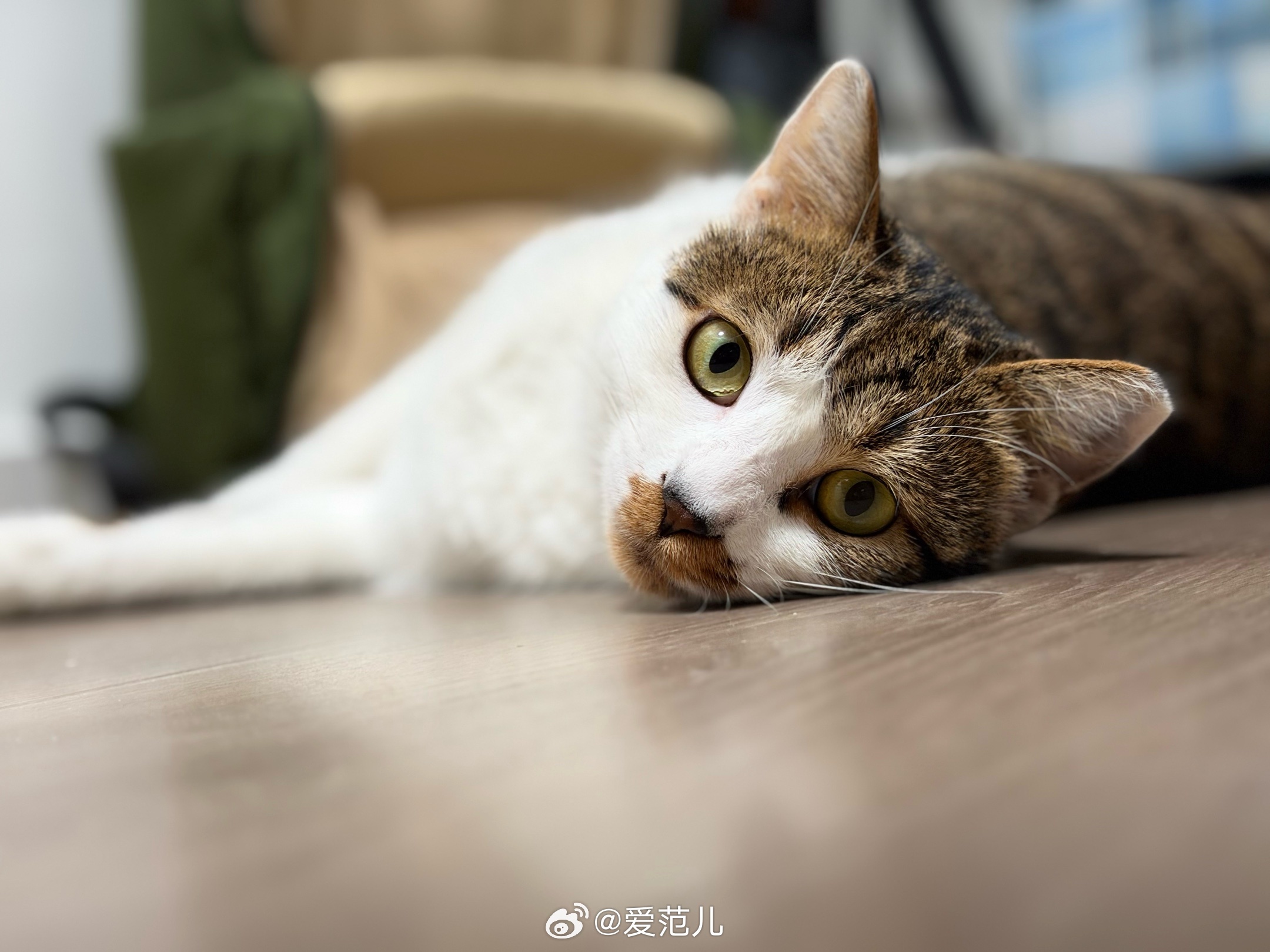 【iPhone Duo 一周体验:续航赢了 Pro,但没了实体卡和