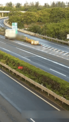 10月12日(1).gif