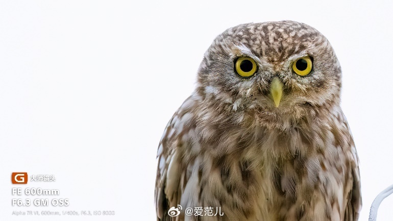【索尼把 600mm 超长焦做到不到 1kg 了】#索尼发布两款超轻