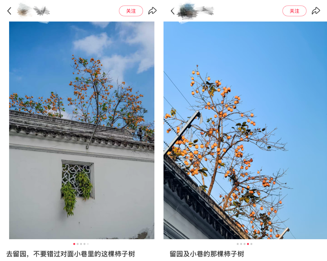 上津桥下塘_副本.png