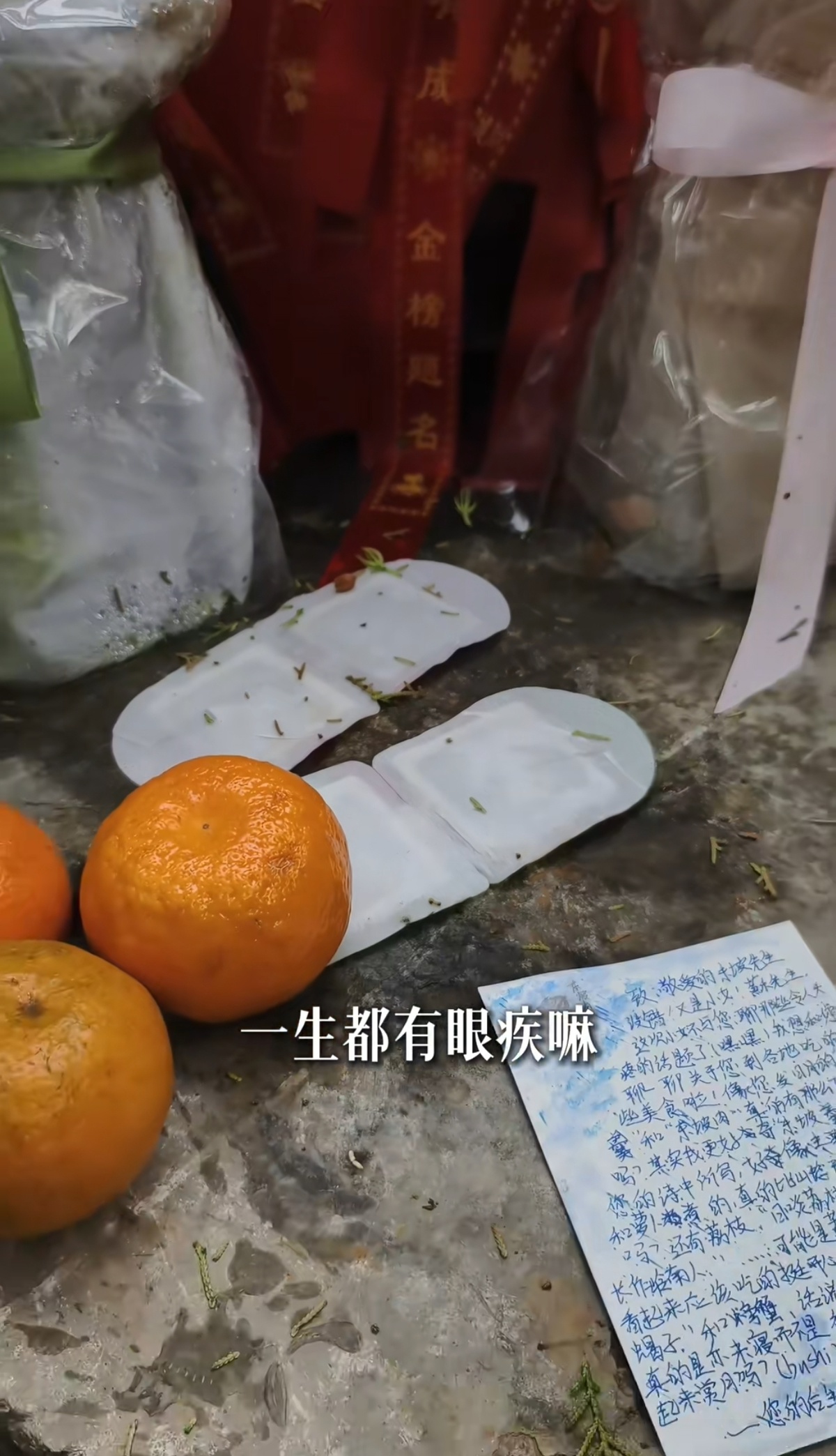 苏轼墓前摆放着蒸汽眼罩(图源:蒙曼个人账号)
