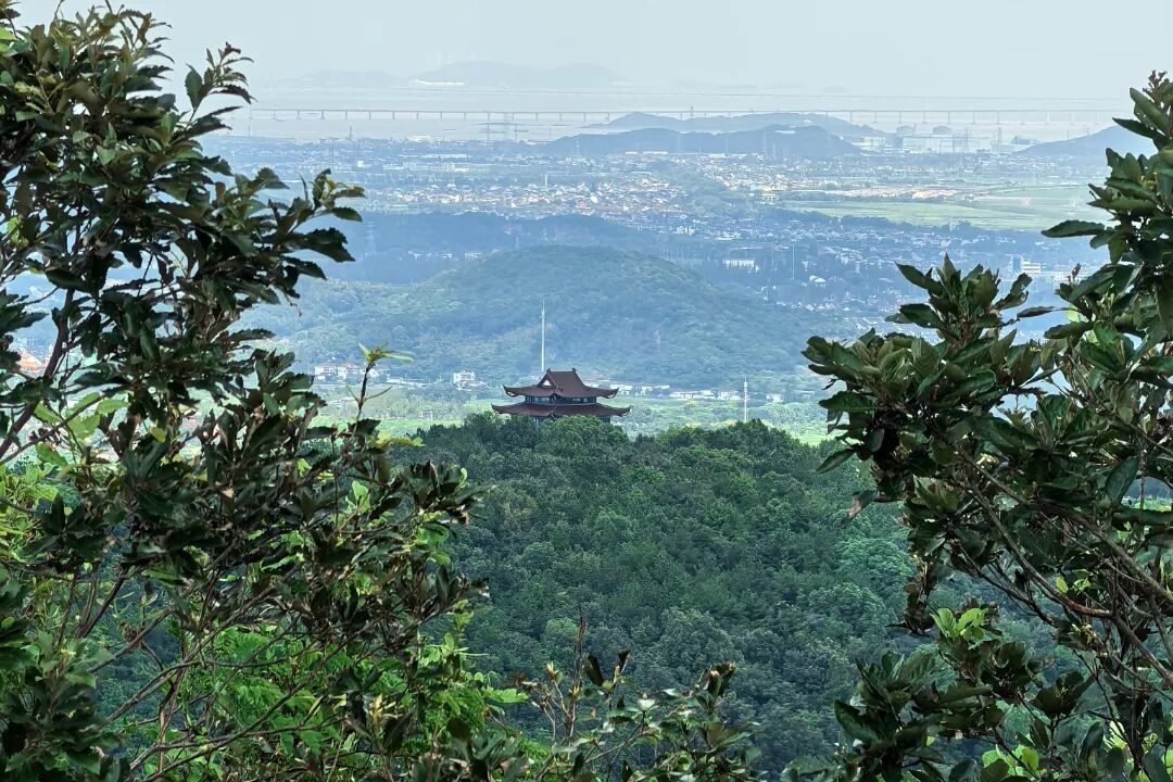 高阳山山顶.jpg