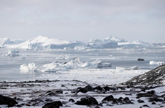 这是2025年3月22日在丹麦自治领地格陵兰岛迪斯科湾拍摄的冰山。(新华社)