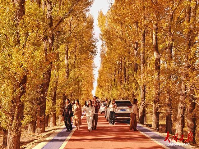 ▲ 左云县管家堡长城一号旅游公路