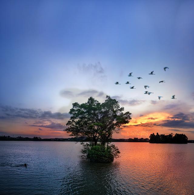 云东海湿地公园