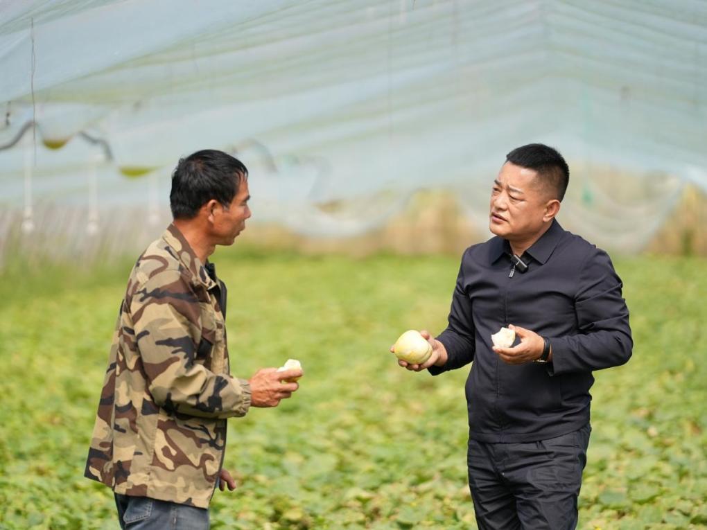 张亚锋带着村两委把扶贫瓜菜项目盘活。受访者供图