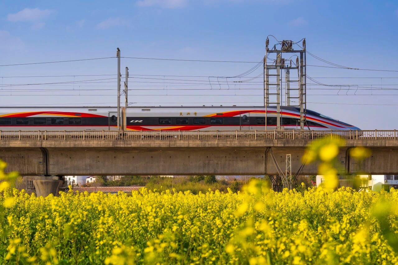 △复兴号驶过开满油菜花的旷野。