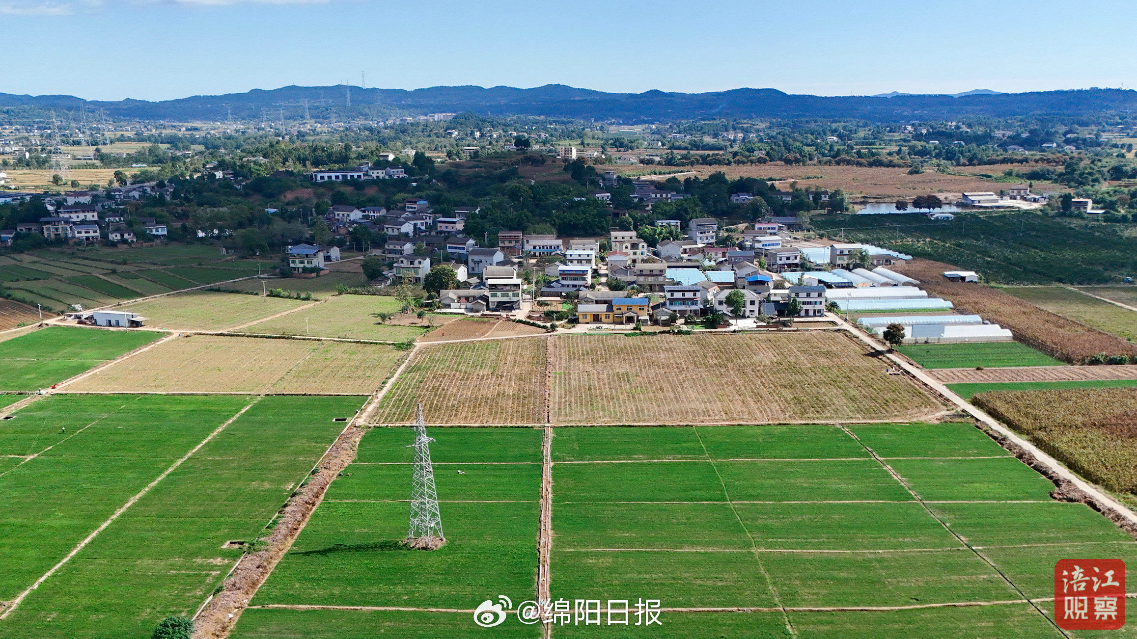 【爱看绵阳｜秋耕沃野，溪映田园】秋光正好，天高云淡。风过处，尽是清朗