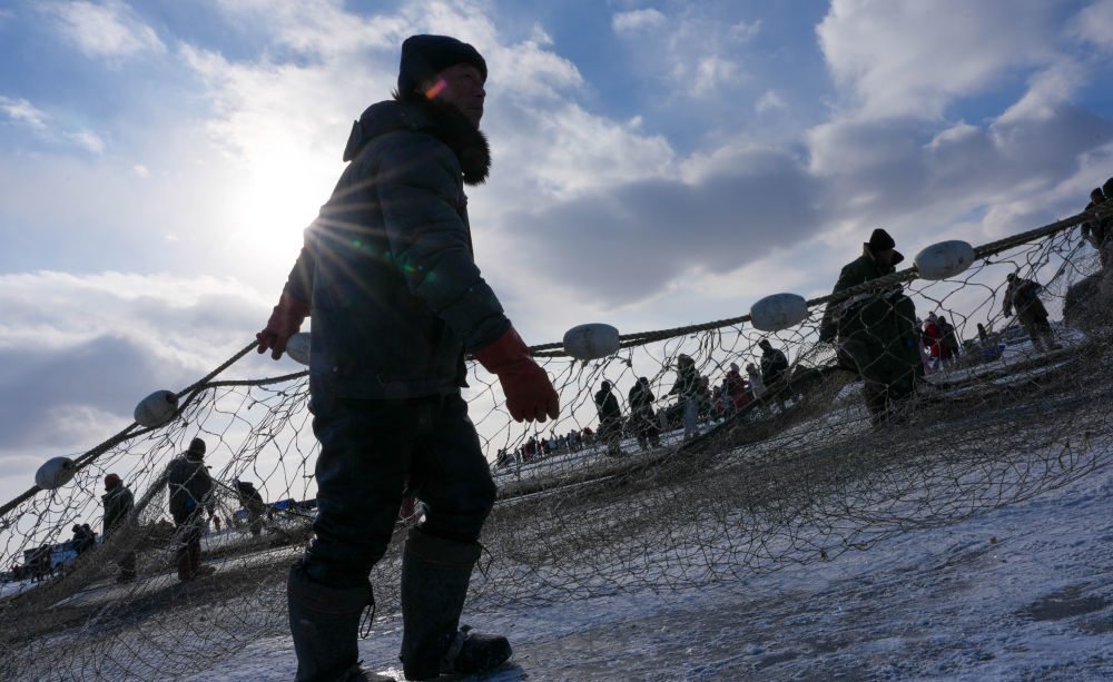 2026年1月7日，渔民们将渔网拖出查干湖冰面。