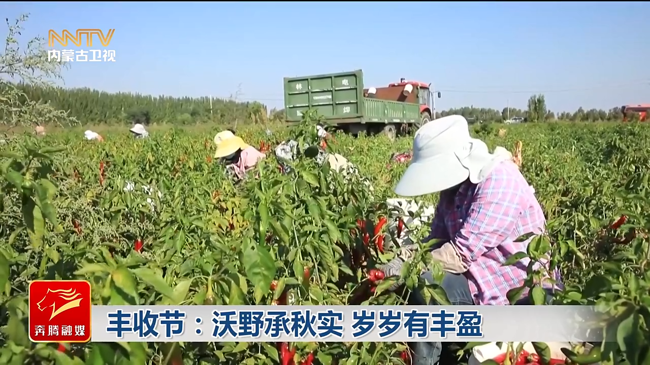 视频截图
