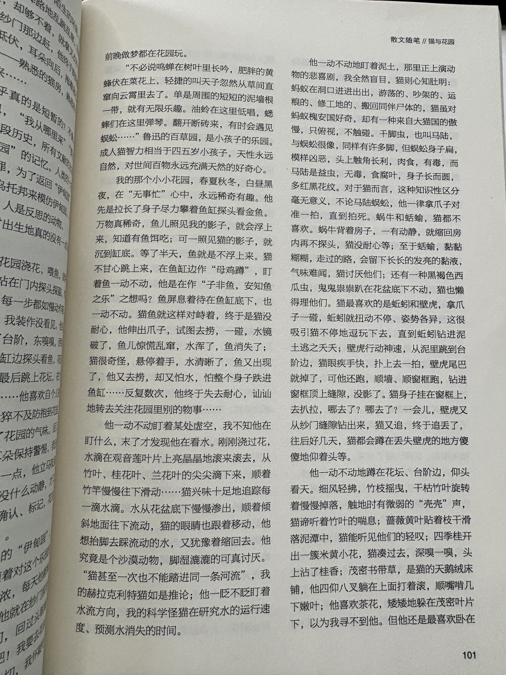 《猫与花园》连续三段以“他一动不动”开头。翻拍自《万松浦》文学双月刊