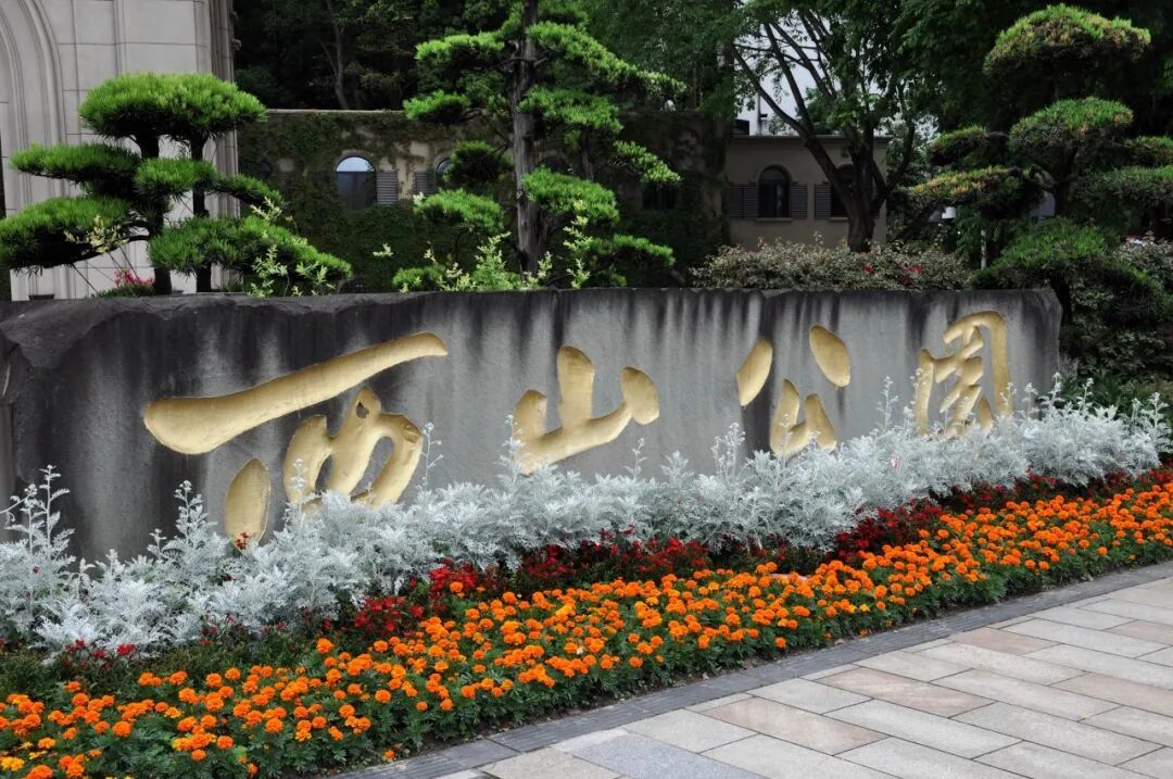 图虫创意-1475152405331050499.jpeg
