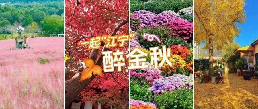9E0C8E09-EAC2-481D-B09C-5B34328D2A9F_AI看图.jpg