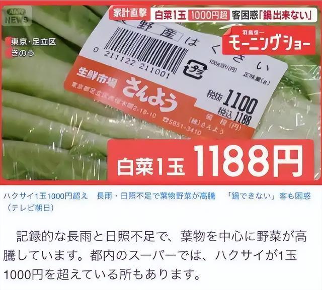 日本物价还在暴涨，一颗白菜42元东说念主民币，高市早苗降税策略失败？