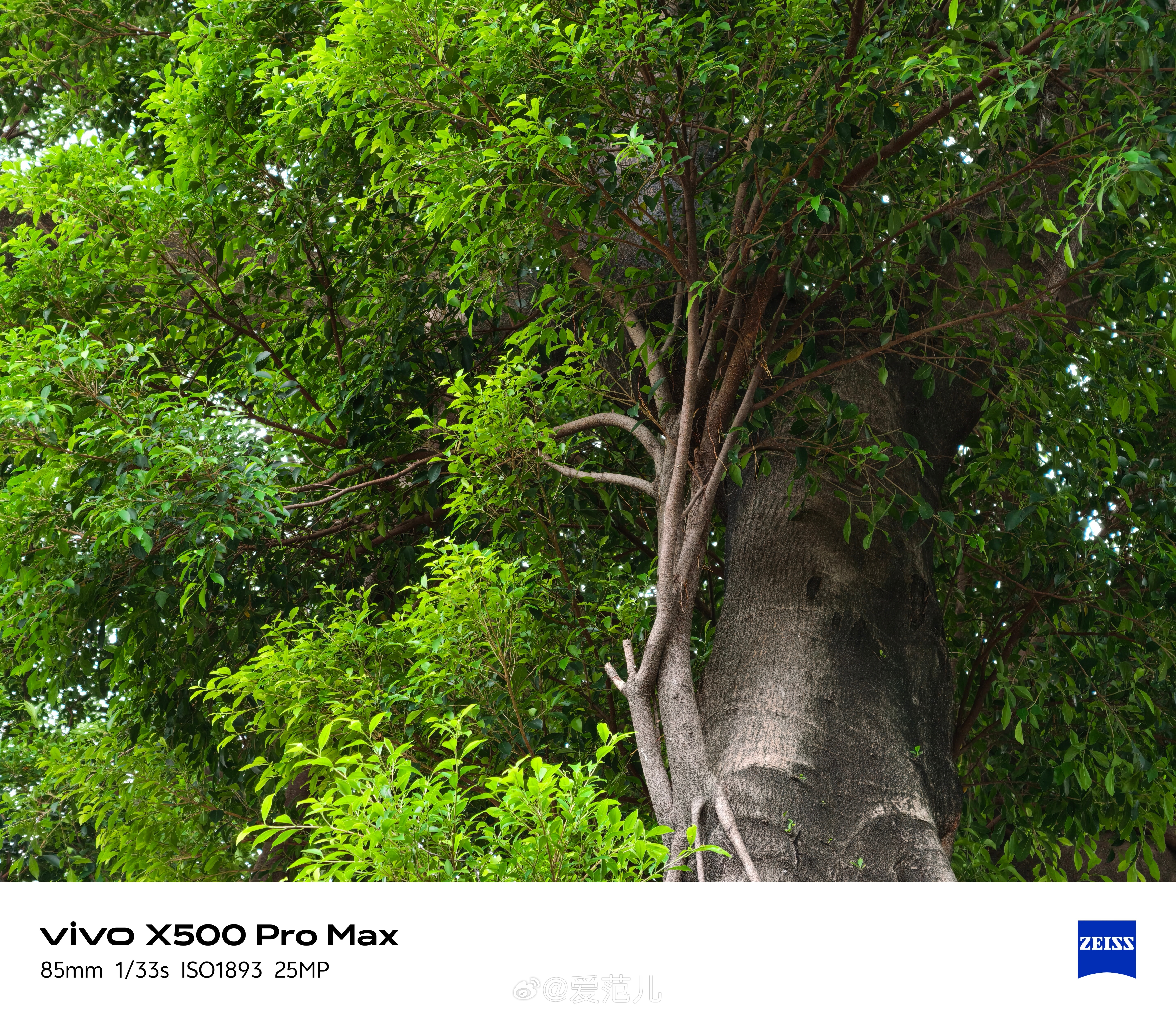 #爱范儿图赏#|vivo X500 Pro Max:把城市框进喜欢的
