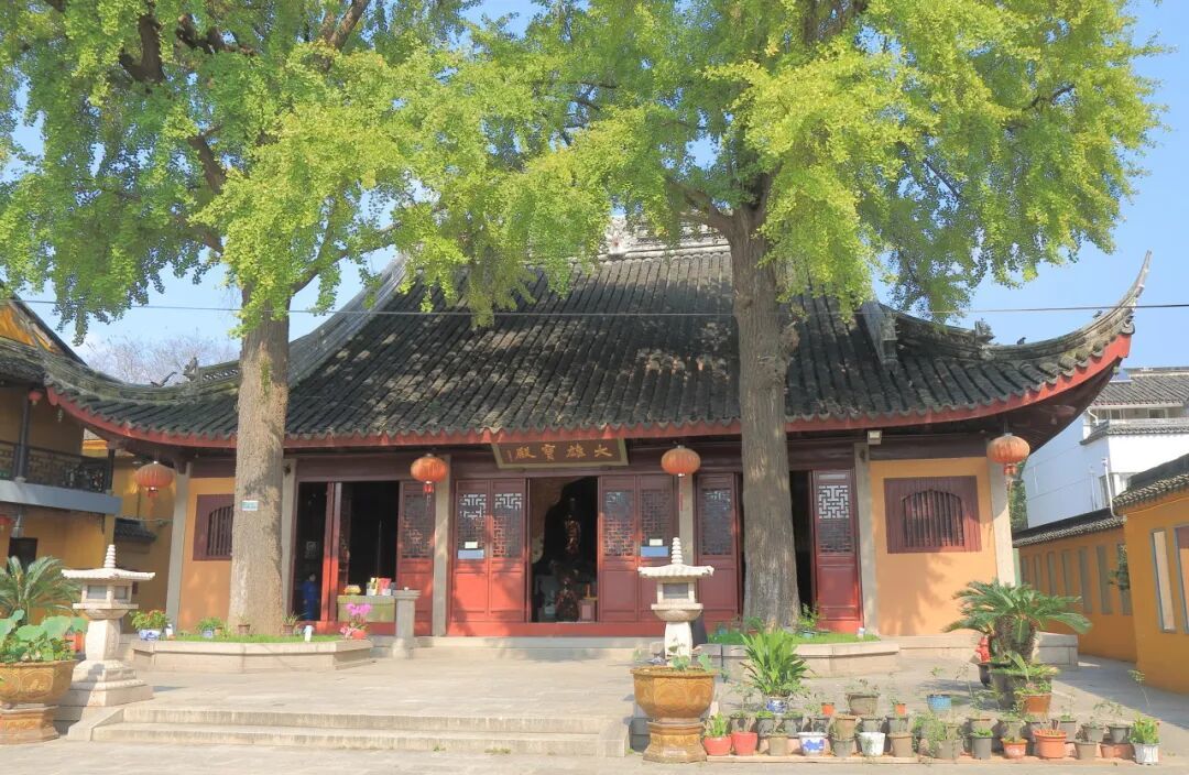 图虫创意-902958471071006803.jpeg