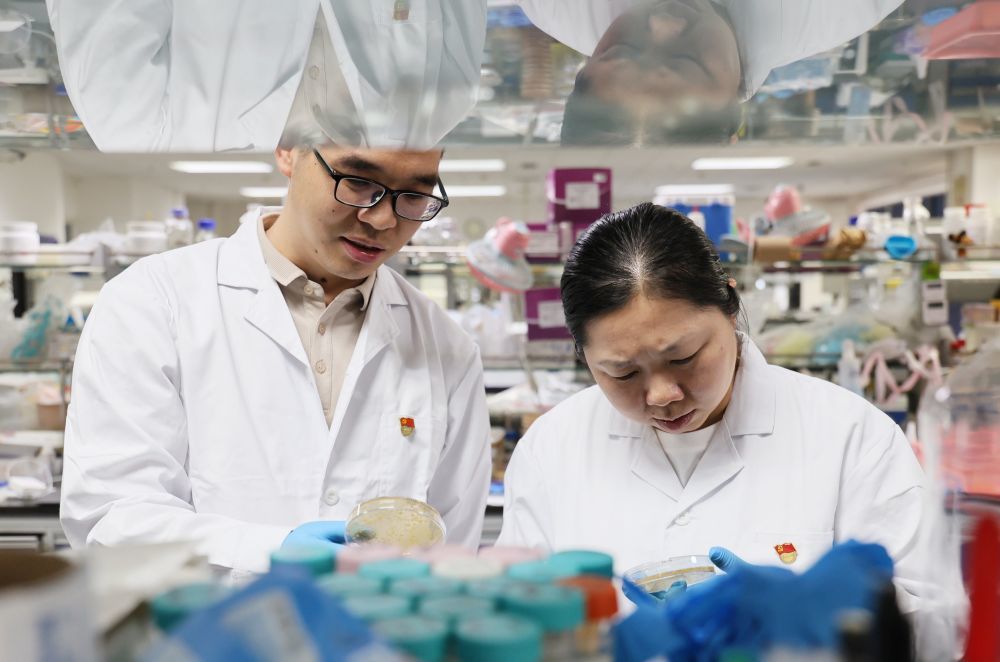 2026年6月30日,在中国科学院天津工业生物技术研究所系统与合成生物技术研究组,科研人员对菌株进行形态及颜色分析。今年,中国科学院天津工业生物技术研究所低碳合成工程生物学重点实验室党支部获评全国先进基层党组织。多年来,实验室团队接连产出多项标志性成果,累计申请专利超200项。新华社记者 李然 摄