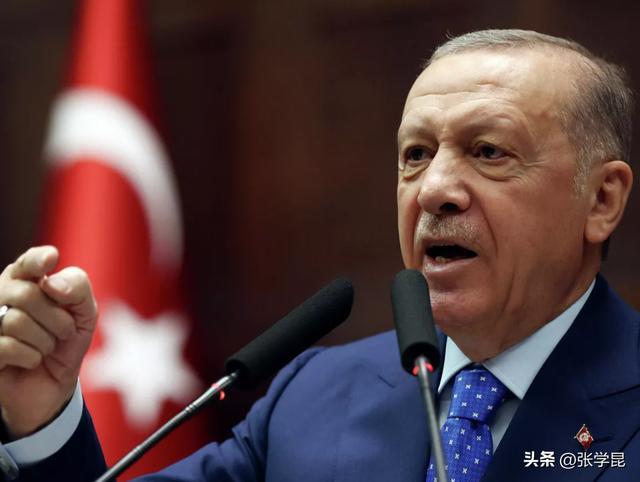 土耳其总统埃尔多安