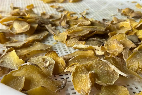 芭蕉芋变“天麻”单价暴涨数千倍 地下工厂制假揭秘