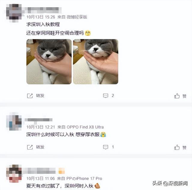 网友评论截图