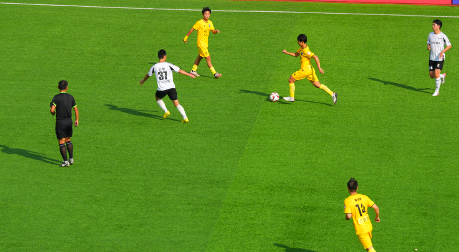 微信图片_20261008161645_13_332.jpg