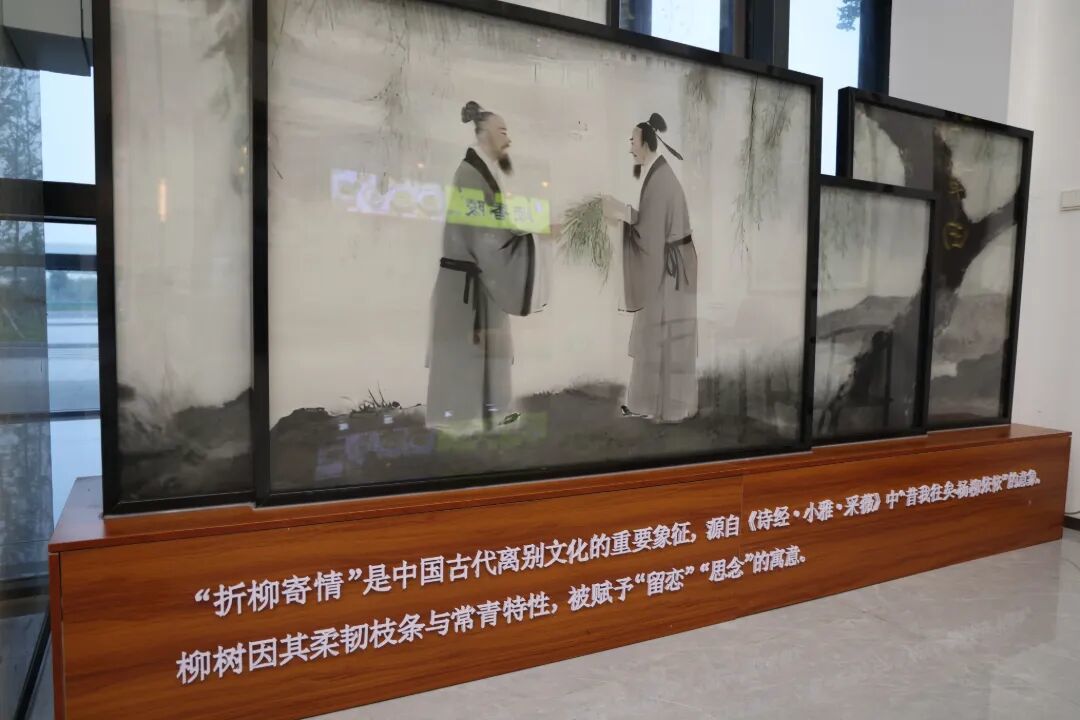 4Q9A8224.JPG