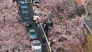 “春日经济”多点开花 市场潜力持续释放