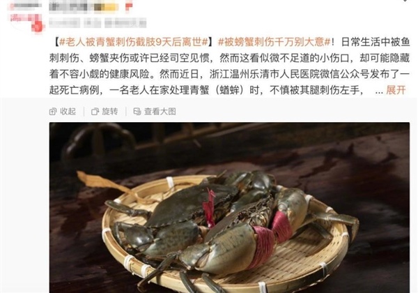 72小时可夺命！这种海鲜伤口千万别冷落